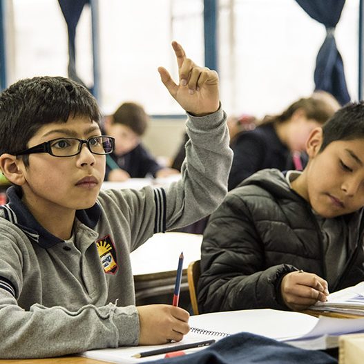 buenos resultados simce colegios ceas