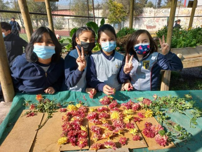 WhatsApp Image 2022-07-05 at 11.00.04 AM