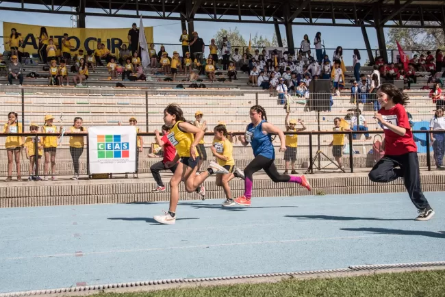 86_OLIMPIADAS BASICA_CEAS_2023-_SAS0325