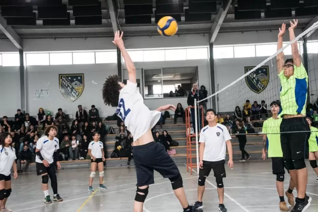 WhatsApp Image 2023-11-20 at 08.35.48 (1)