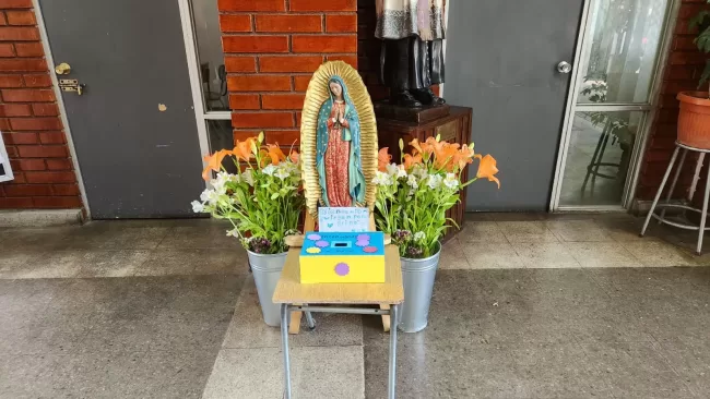 WhatsApp Image 2023-11-29 at 11.37.29 (6)